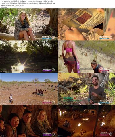 Survivor AU S08E17 1080p HEVC x265 