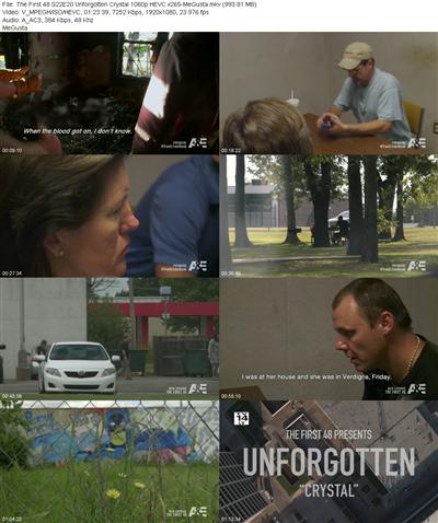 The First 48 S22E20 Unforgotten Crystal 1080p HEVC x265 