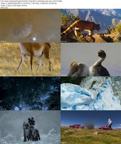 Eden Untamed Planet S01E05 720p HEVC x265 