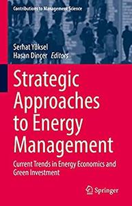 Strategic Approaches to Energy Management