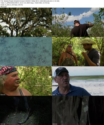 Swamp People Serpent Invasion S02E03 1080p HEVC x265 