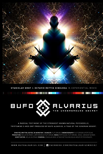 Bufo Alvarius The Underground Secret 2018 1080p WEBRip x265-RARBG