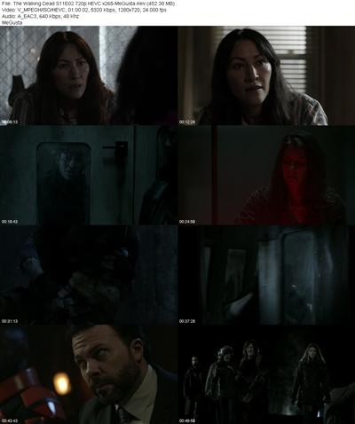 The Walking Dead S11E02 720p HEVC x265 