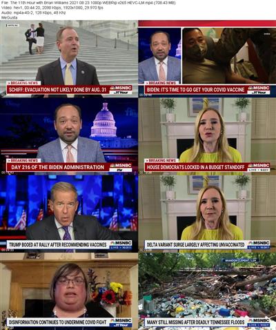 The 11th Hour with Brian Williams 2021 08 23 1080p WEBRip x265 HEVC LM