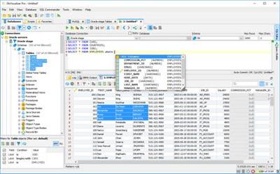 DbVisualizer Pro 12.1.2