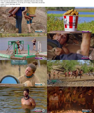 Survivor AU S08E16 1080p HEVC x265 