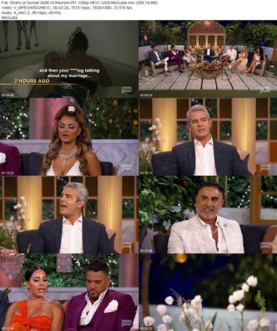 Shahs of Sunset S09E14 Reunion Pt1 1080p HEVC x265 