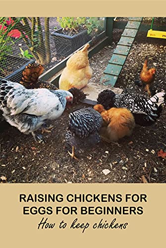 Raising Chickens for Eggs For Beginners: How to keep chickens: Raising Chickens for Eggs For Beginners