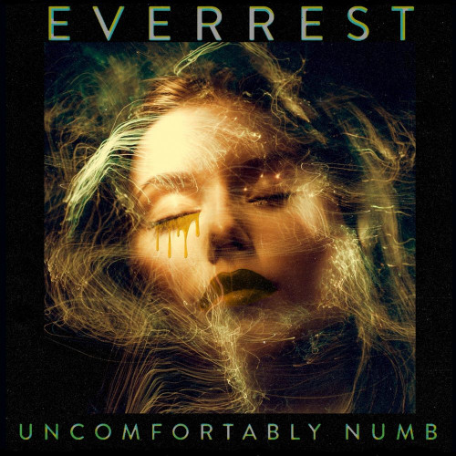 Everrest - Uncomfortably Numb [Single] (2021)