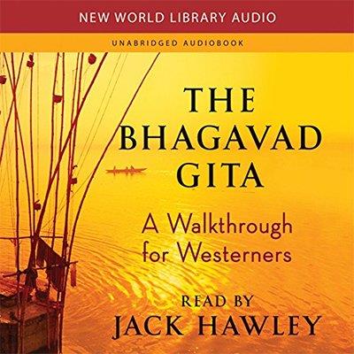 The Bhagavad Gita A Walkthrough for Westerners (Audiobook)