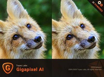 Topaz Gigapixel AI 5.6.1 (x64)