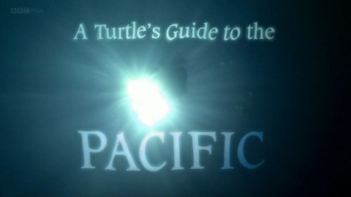 BBC Natural World - A Turtle's Guide to the Pacific (2008)