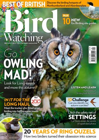 Bird Watching UK   October 2021