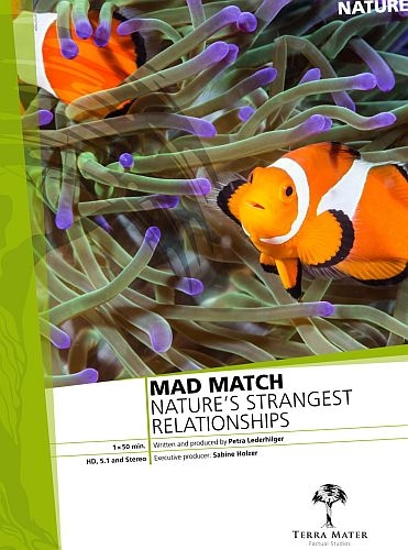 Опасные связи. Друзья и враги в дикой природе / Mad Match – Nature's strangest Relationshi (2019) HDTV 1080i | P1