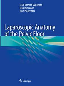 Laparoscopic Anatomy of the Pelvic Floor