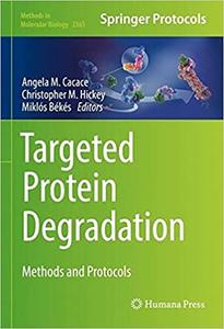 Targeted Protein Degradation