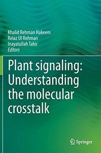 Plant signaling Understanding the molecular crosstalk 