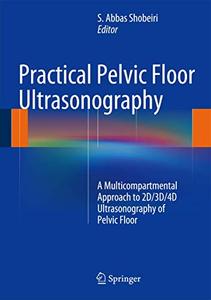 Practical Pelvic Floor Ultrasonography A Multicompartmental Approach to 2D3D4D Ultrasonography of Pelvic Floor