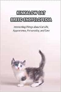 Kinkalow Cat Breed Encyclopedia