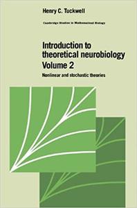 Introduction to Theoretical Neurobiology Volume 2, Nonlinear and Stochastic Theories