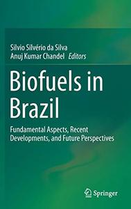 Biofuels in Brazil Fundamental Aspects, Recent Developments, and Future Perspectives 
