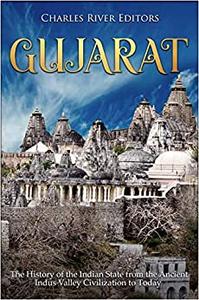 Gujarat The History of the Indian State from the Ancient Indus Valley Civilization to Today