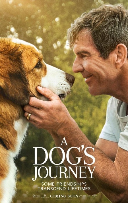 A Dogs Journey 2019 2160p WEB H265-FLAME