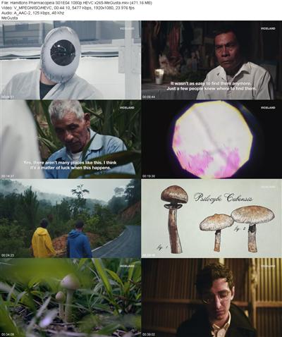 Hamiltons Pharmacopeia S01E04 1080p HEVC x265 