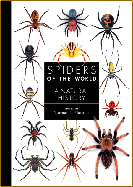 Spiders of the World - A Natural History