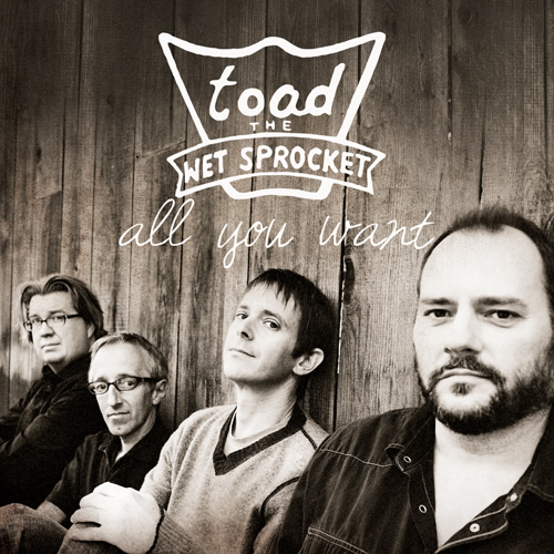 Toad The Wet Sprocket - All You Want (2011)