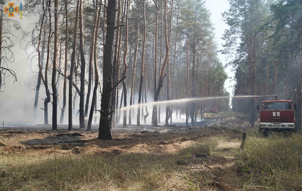 В Луганской области вспыхнул лесной пожар