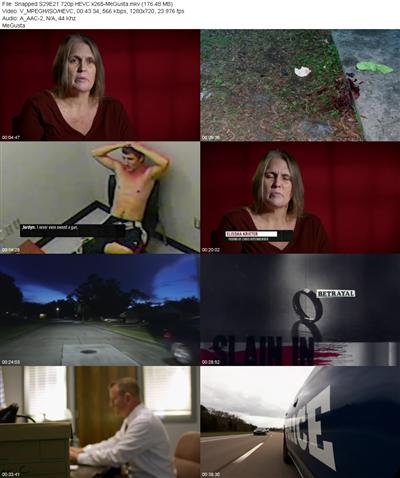 Snapped S29E21 720p HEVC x265 