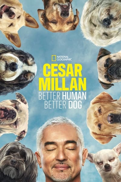 Cesar Millan Better Human Better Dog S01E09 720p HEVC x265-MeGusta