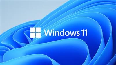 Windows 11 Enterprise Preview Build 22000.168 Non-TPM 2.0 Compliant (x64) Activated