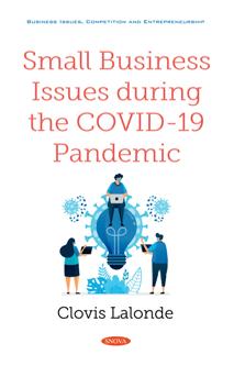 Small Business Issues During the COVID 19 Pandemic