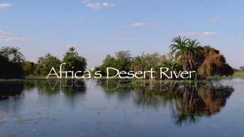 Live Wire - Africa's Desert River (2021)