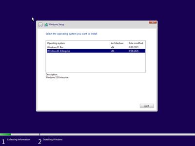 Windows 11 Pro/Enterprise Build 22000.168 (x64)  (No TPM Required) With Office 2019 Pro Plus Preactivated 674a126ea0dae0399ba5836717a4ea3f