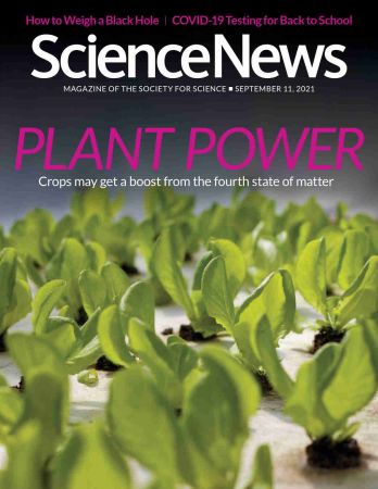 Science News   11 September 2021