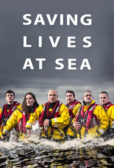 Saving Lives at Sea S06E02 1080p HEVC x265-MeGusta