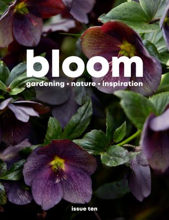 Bloom - August 2021