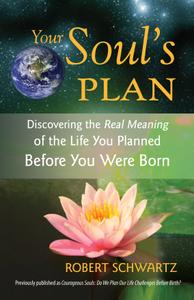 Your Soul's Plan Discovering the Real Meaning of the Life You Planned Before You Were Born