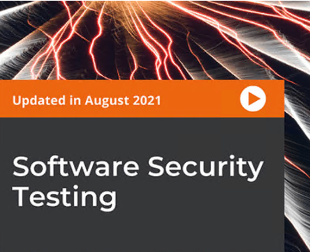 Software Security Testing