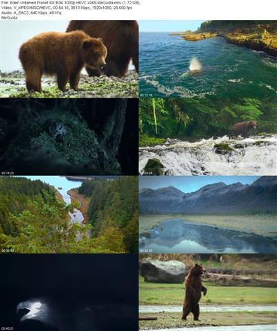 Eden Untamed Planet S01E06 1080p HEVC x265 