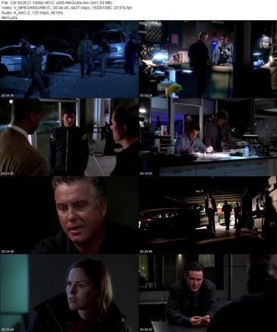 CSI S02E21 1080p HEVC x265 