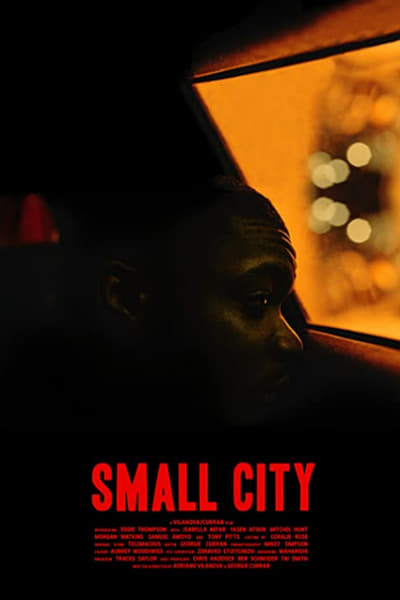 Small City (2021) 720p AMZN WEBRip x264-GalaxyRG