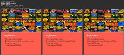 Angiosperm : Flowering Plant
