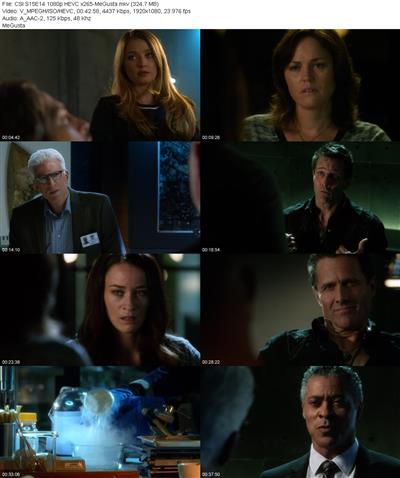 CSI S15E14 1080p HEVC x265 