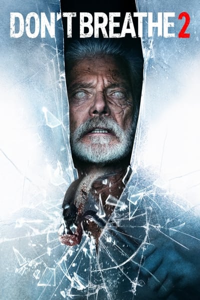 Dont Breathe 2 (2021) 1080p WebDL H264 AC3 Will1869