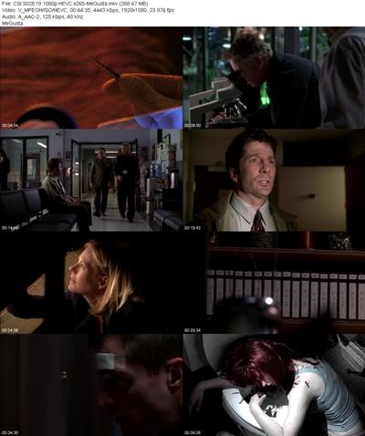 CSI S02E19 1080p HEVC x265 