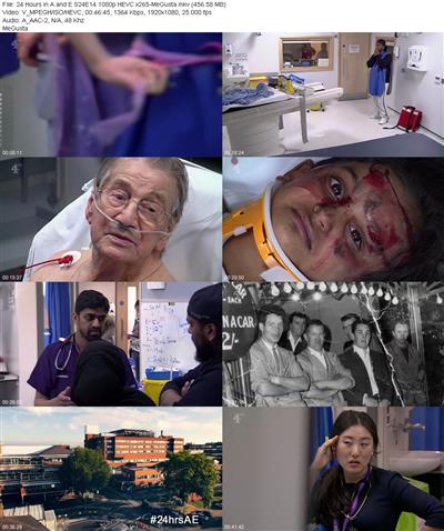 24 Hours in A and E S24E14 1080p HEVC x265 